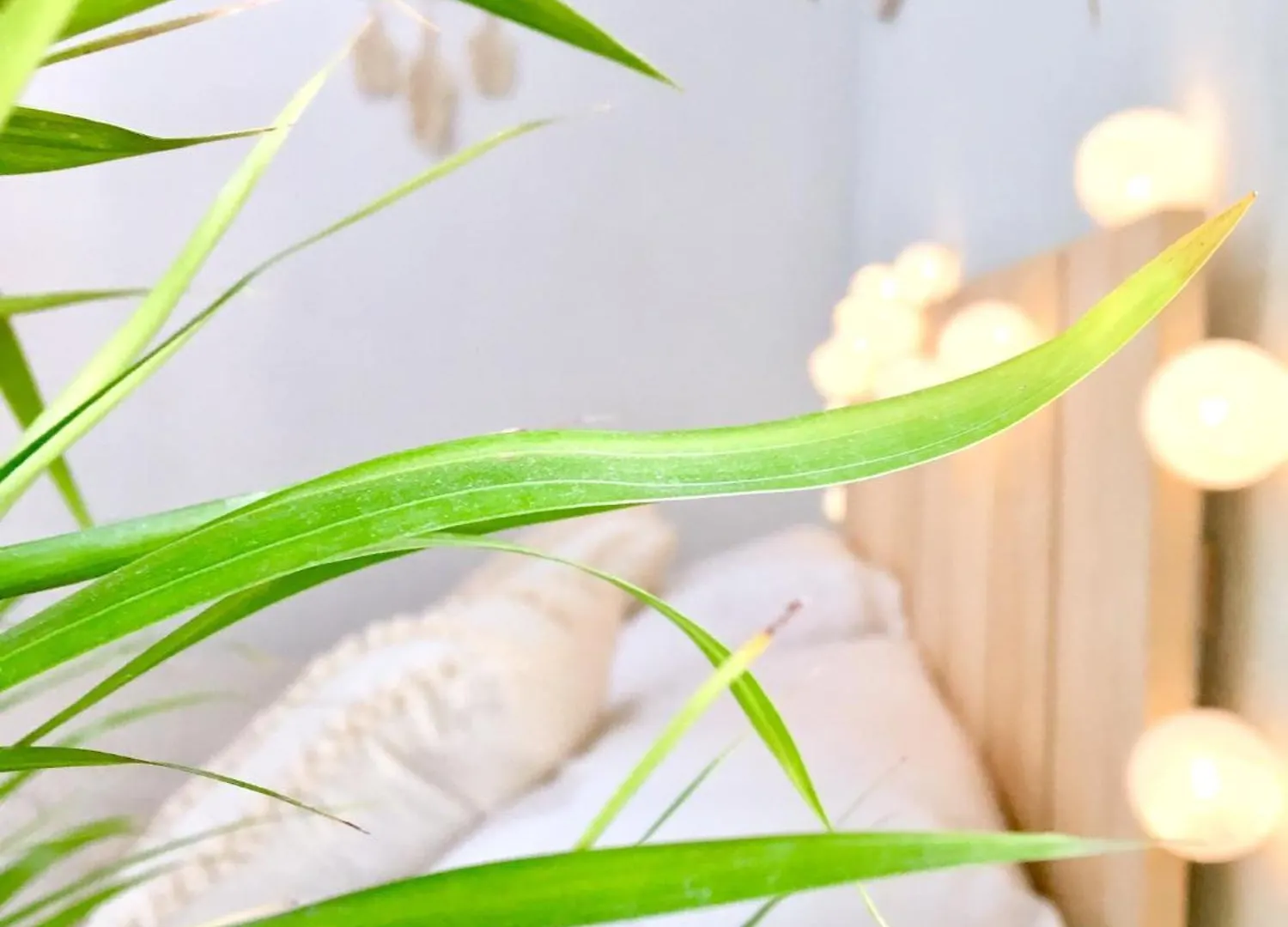 Appartement Caraïbe Mexicain à Cancún